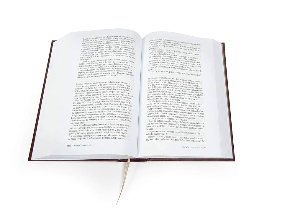 洋書 Biblia interpretada versiculo por Amazon.com: La Biblia en Su Contexto: Cómo Mejorar Su